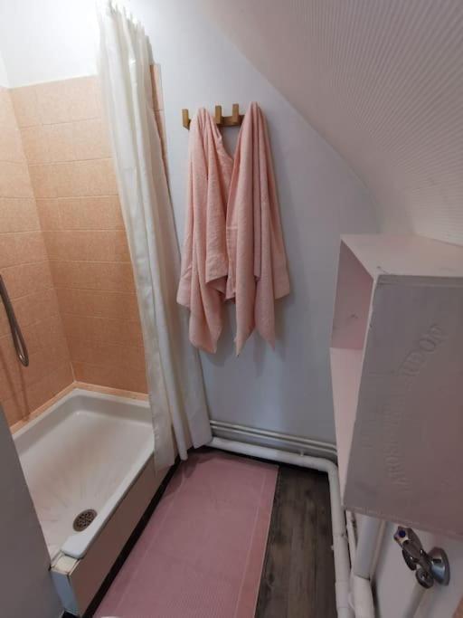 Cosy Avec Parking Prive * Caen